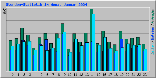 Stunden-Statistik im Monat Januar 2024