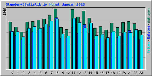 Stunden-Statistik im Monat Januar 2026