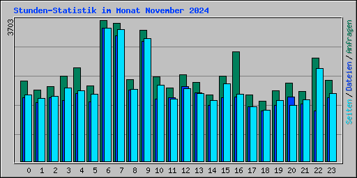 Stunden-Statistik im Monat November 2024