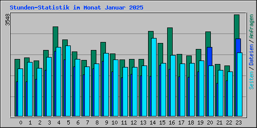 Stunden-Statistik im Monat Januar 2025