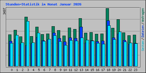 Stunden-Statistik im Monat Januar 2026