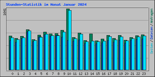 Stunden-Statistik im Monat Januar 2024