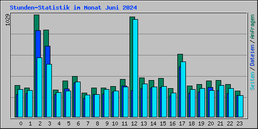 Stunden-Statistik im Monat Juni 2024