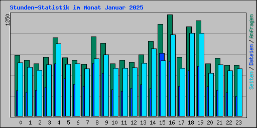 Stunden-Statistik im Monat Januar 2025