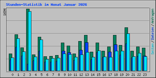 Stunden-Statistik im Monat Januar 2026